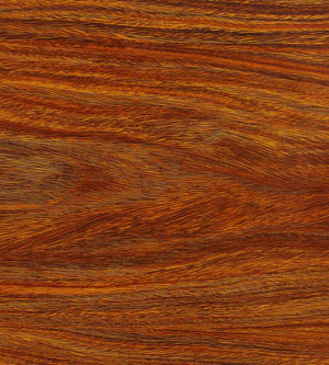 金檀木（亮光）