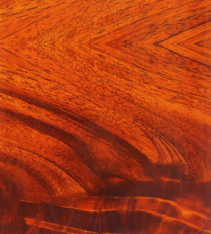 奧古曼（亮光）